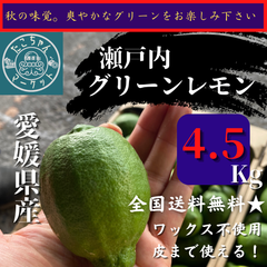 【美品】国産グリーンレモン　愛媛県産　4.5kg 40球前後