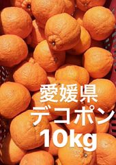 愛媛県　デコポン　柑橘　10kg