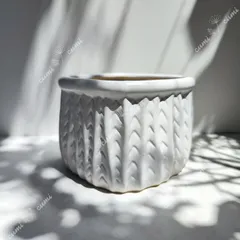 【セール】韓国 シンプル 白色 植木鉢 おしゃれ 室内 陶器鉢 多肉 植物 鉢植え　激安 レア インテリア プレゼント 海外 盆栽 花瓶 おすすめ プランター 人気 デザイン 観葉植物