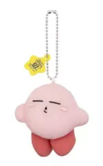 【中古】雑貨 カービィ(くちうつし) 「星のカービィ 30th ぬいぐるみミニマスコット」