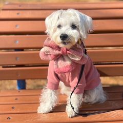 犬用☆かわいいリボンマフラーＬ(ピンク)ペット用
