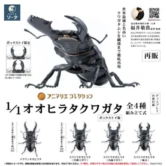 ボックストイ版 アニマリエコレクション 1/1 オオヒラタクワガタ 4個入 未開封BOX