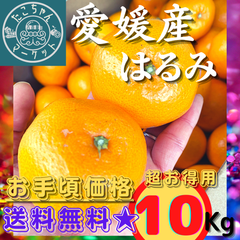 【☆超セール】愛媛県産　はるみ　濃厚・美品　M～2Lサイズ　10Kg