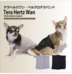 Item thumbnail for item 5909963d-fda3-462b-855b-bd7fff26e5a8