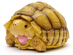 動物の惑星　アオウミガメ　フィギュア 動物の惑星 新・鳥シリーズ オウム編 未開封 BOX6体セット被り