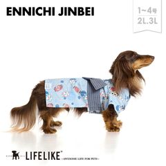 【縁日甚平1-4号2L-3L／アイスグレー】ドッグウェア 甚平 小型犬 中型犬 犬 服 春 夏 春夏 夏祭り お面 提灯 可愛い かわいい おしゃれ 犬の服 ペット服 犬服 ペット グッズ 洋服 ペット用品 LIFELIKE［返品不可・サイズ交換可］