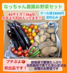 【農薬不使用！自然栽培】なっちゃん農園朝採れ野菜