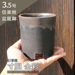 【未使用】盆栽鉢 3.5号 寸胴 金彩 黒 信楽焼 山野草 観葉植物 アガベ 塊根 コーデックス サボテン 陶器 小品 小さい 深め 懸崖 約10センチ 苔 うめきち盆栽用品店