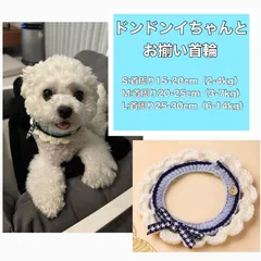 チャウヌ　ドンドンイ　ぬいぐるみ 2025年最新】ドンドンイの人気アイテム - メルカリ