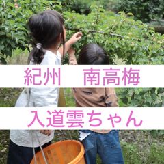 115◯青梅　2L 2kg