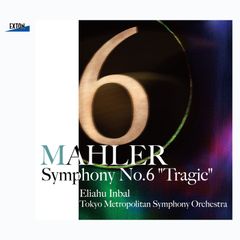 Michael Gielen Mahler 交響曲全集 17CD+DVD - メルカリ
