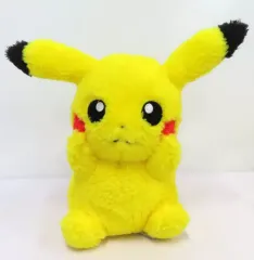 【中古】ぬいぐるみ ピカチュウ ほっこりいやされ でっかいぬいぐるみ～ピカチュウ・ヒメグマ～ 「ポケットモンスター」