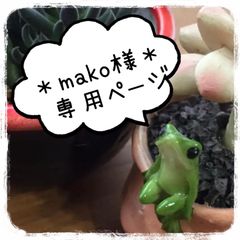 ＊mako様 3鉢