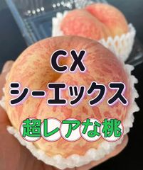 全国一律料金‼️クール便‼️cx 山形県産　超レアな桃　CX シーエックス　硬い　固い　桃　もも　2kg箱満杯