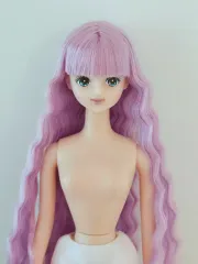リカちゃんキャッスル ジェニー フレンドドール オタノシミドリ みらい ジェニー人形