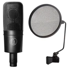 2025年最新】audio-technica（オーディオテクニカ） AT4040 の人気