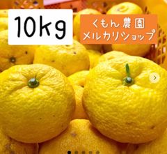 お徳用！柚子 10kg