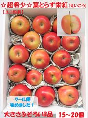 ☆超希少品種☆果肉まで赤～いりんご『葉とらず栄紅』☆B品☆不揃い約2.5kgのサムネイル