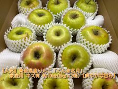 青森県産りんご「ぐんま名月」家庭用 キズ有 約10kg(5kg×2箱)【爽やかな甘み】