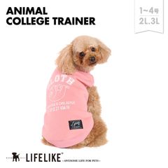 【アニマルカレッジトレーナー1-4号2L-3L／ナマケモノ】犬 服 アニマル柄 トレーナー 小型犬 子犬 パピー チワワ トイプー ダックス ロング丈 犬服 ドッグウェア 犬の服 ペット服 洋服 ペット用品 お散歩［ライフライク LIFELIKE公式］