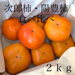 陽豊柿・次郎柿　食べ比べセット　２ｋｇ