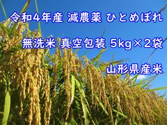 令和4年産 減農薬 ひとめぼれ 5kg × 2袋 計10kg 山形産 無洗米