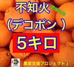 不知火（デコポン）5キロ
