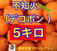 2025年最新】デコポン 不知火 5キロの人気アイテム - メルカリ