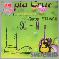 2025年最新】sepia crue ミニギターの人気アイテム - メルカリ