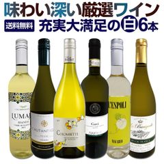 白ワイン 辛口 セット ワインセット 白 ワイン ギフト 箱 京橋ワイン 京橋わいん 特選 6本 お歳暮飲み比べ シャルドネ 金賞 送料無料 【 