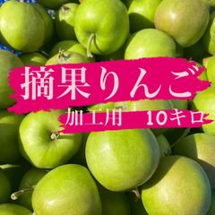 青森県産　摘果りんご　サンふじ　加工用約10キロ