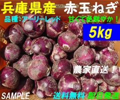 【兵庫県産】赤玉ねぎ　5kg　農家直送　新玉ねぎ　新鮮　朝採り　名産