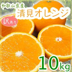 清見オレンジ 和歌山県産 訳あり 清見みかん 10kg ご自宅用