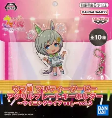 【中古】キーホルダー セイウンスカイ アクリルプレートキーホルダー～ウイニングライブver.～vol.3 「ウマ娘 プリティーダービー」