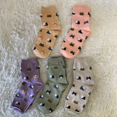 靴下 ソックス レディース 22〜25cm 5足セット ショート 猫 ネコ cat 総柄 女の子 通学 スポーツ 5色 まとめ売り