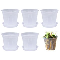 ★即日発送★beyourchoi 植木鉢 透明 スリット鉢 透明 5個 底皿付 盆栽 プラ鉢 プラスチック鉢 多肉植物鉢 育苗ポット胡蝶蘭 蘭鉢 透明鉢 園芸用品 屋内屋外使用のための小さい植物容器 観葉植物 鉢 (10*8cm)