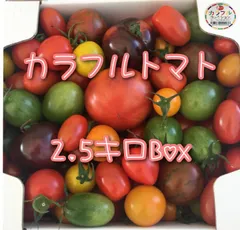 トマトの宝石箱🍅2.5キロBOX！(カラフルトマト)！甘くておいしい＼(^o^)／！農家直送！クールメルカリ便80！