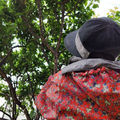 おらだの農園