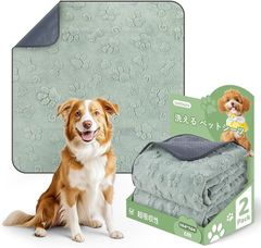 Item thumbnail for item b6e95d6a-5e29-4306-8765-f6631654218c