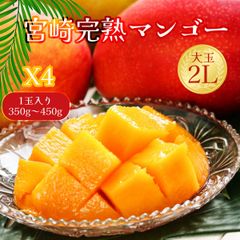 大特価】宮崎完熟マンゴー8玉2.2k〜 ④