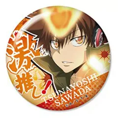 【中古】バッジ・ピンズ(キャラクター) 沢田綱吉 「家庭教師ヒットマンREBORN! 激推し缶バッジコレクション vol.2」