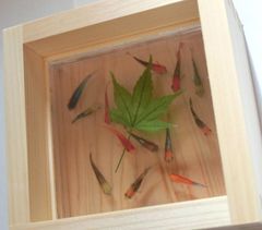 めだか メダカ アート 紅葉 プリザーブドフラワー 金魚 桧 木製