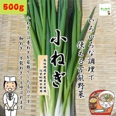 小ねぎ（こねぎ、細ねぎ、万能ねぎ）　☆農薬や化学肥料は使用しておりません　埼玉県産　約５００g
