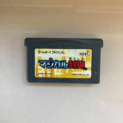 GBA　ゲームボーイアドバンス　マジカル封神