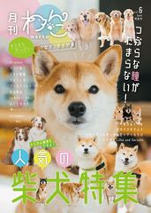 【ゴールデンレトリバー二宮家直筆サイン入り】月刊わんこ vol.6 特別号「中型犬／柴犬特集」