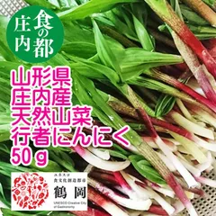 2025年最新】行者ニンニク 種の人気アイテム - メルカリ