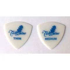 【1枚バラ売り】 Takamine　トライアングル ピック　ポリアセタール　P3W