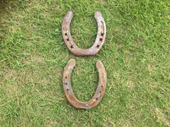蹄鉄 2個 // ホースシュー 馬鉄 アイアン アンティーク 幸運 運気 雑貨 馬蹄 蹄 馬 乗馬 競馬 受験 合格祈願 開運 ガーデン オーナメント アレンジメントアメリカン ウエスタン カントリー 北欧雑貨 希少 インダストリアル ヴィンテージ 飾り
