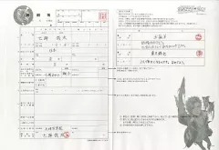 2025年最新】starry 婚姻届の人気アイテム - メルカリ