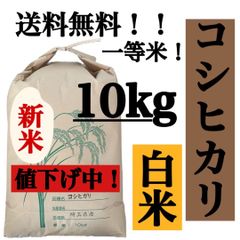 白米　10kg コシヒカリ　新米　埼玉県産　令和4年産　送料無料　米　10キロ